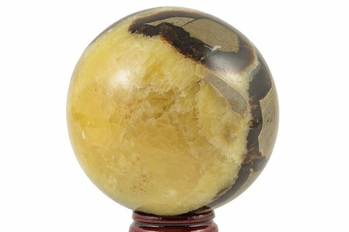 Polished Septarian Sphere - Madagascar #203647